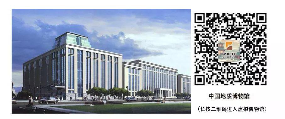 巖星建設丨線上博物館,感受不一樣的傳承插圖(1) 巖星建設丨線上博物館,感受不一樣的傳承插圖(1)