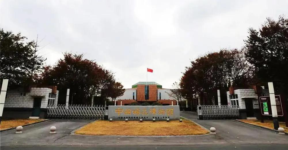 巖星特刊 | 在熱點之后，我們來看看這一座博物館插圖(1)