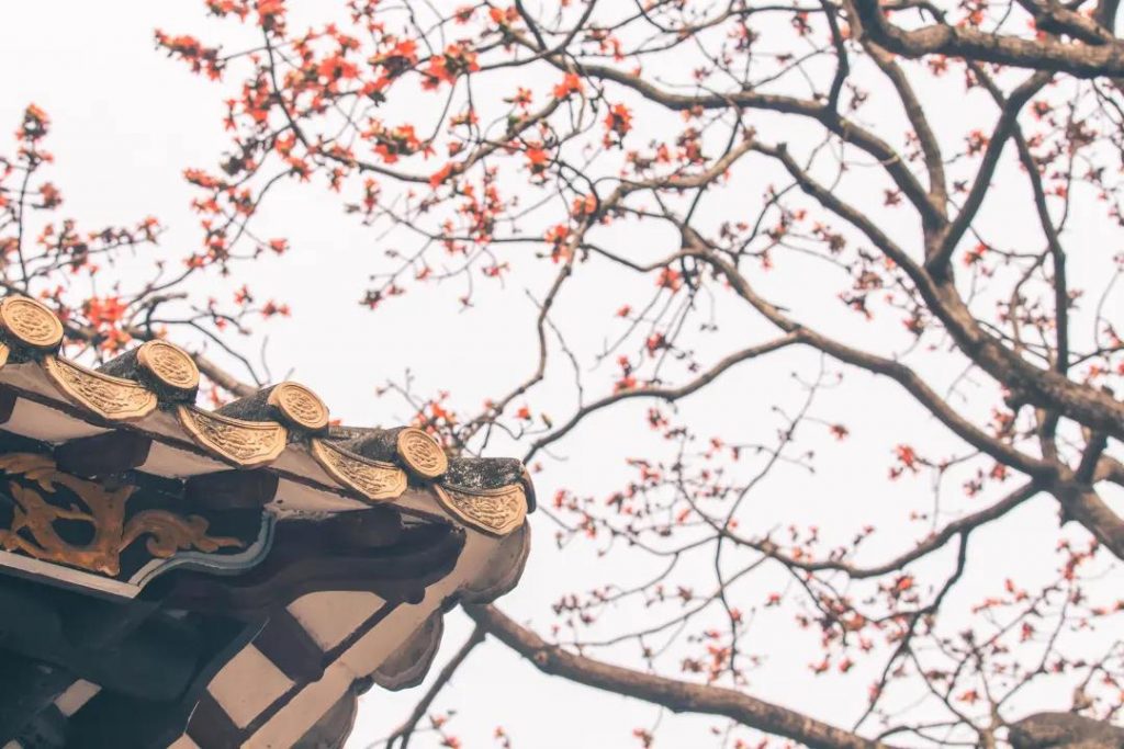 清暉園博物館「珠」愿清暉 ·「詒」路同行插圖(3) 清暉園博物館「珠」愿清暉 ·「詒」路同行插圖(3)