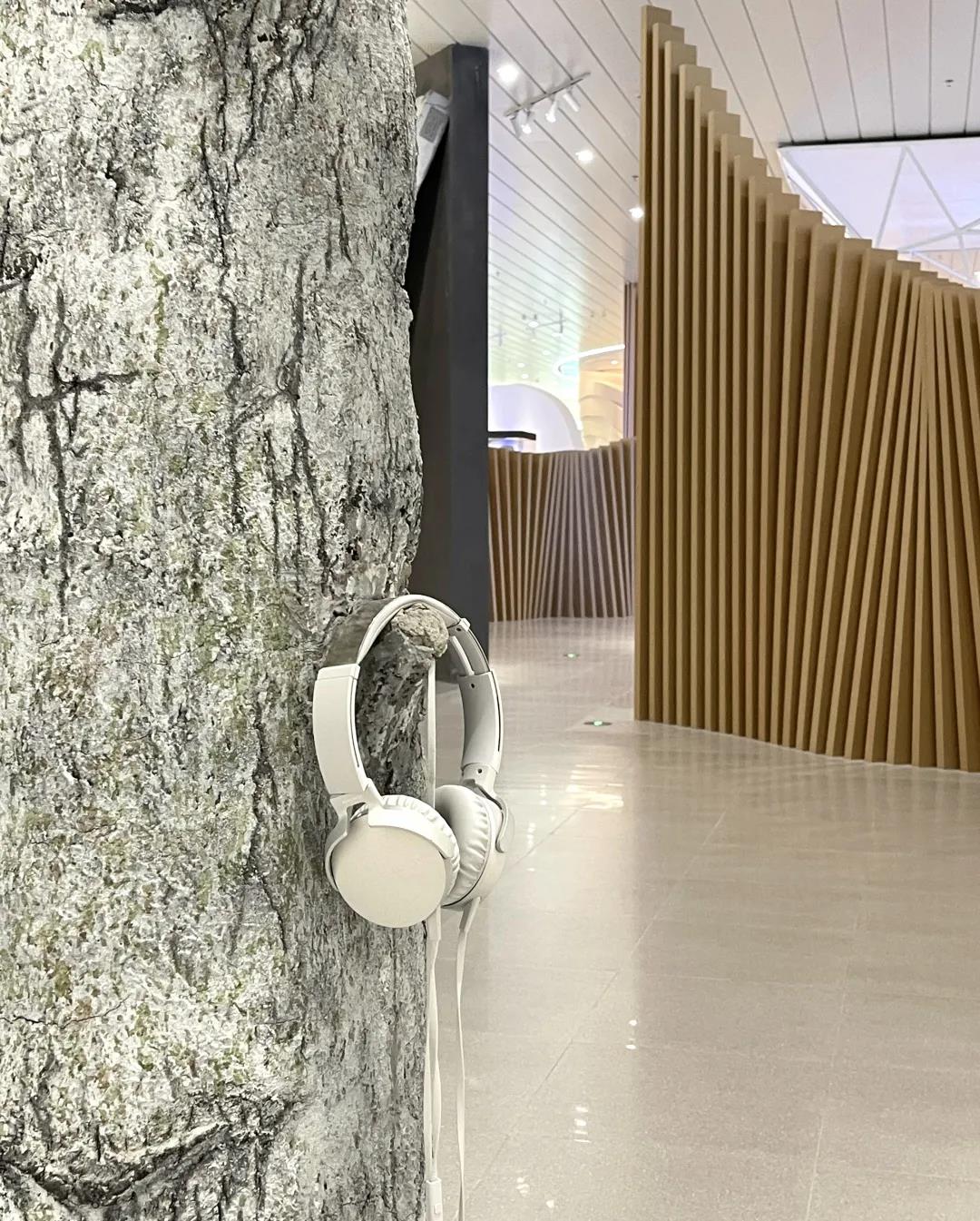 巖星特刊 | “疫苗博物館”，透過歷史切片見證偉大事業插圖(6)