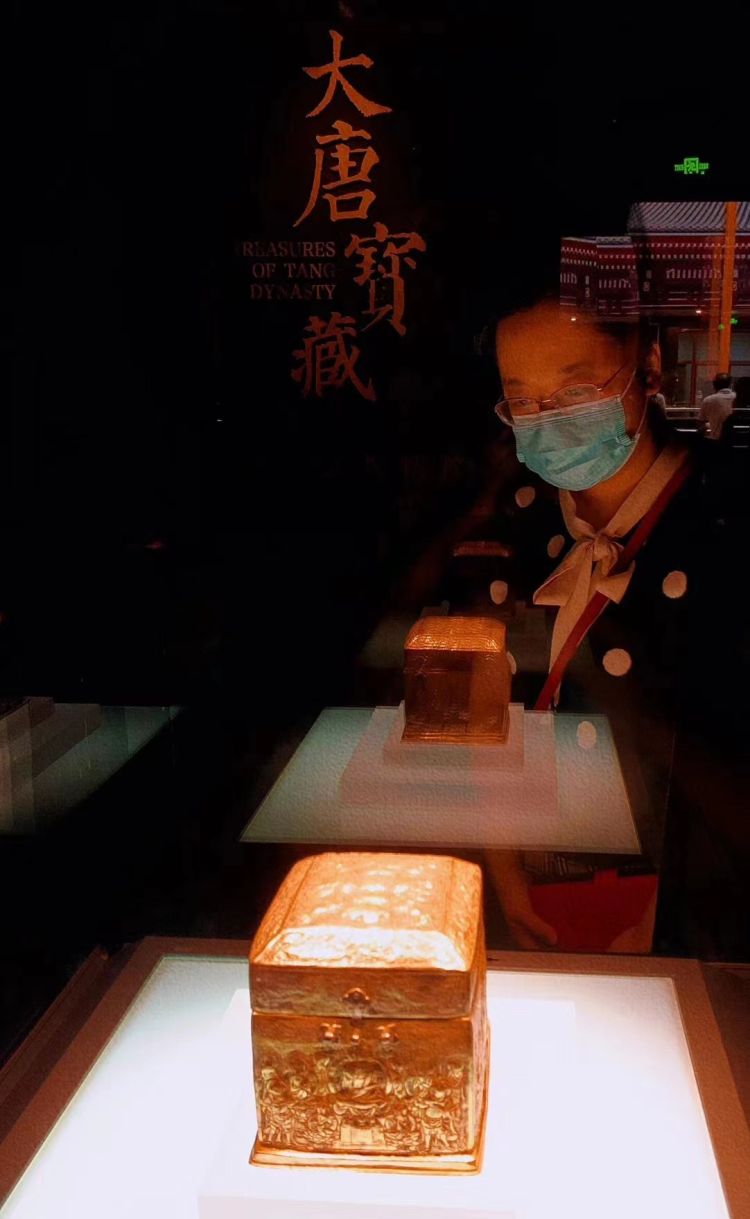 “感受大唐風(fēng)華” 深圳市金石藝術(shù)博物館赴東莞市博物館 開展館際交流活動插圖(3)