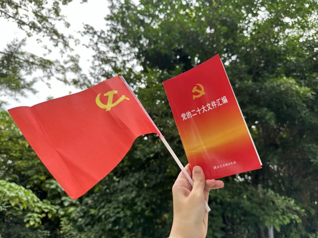 巖星之聲|巖星科建黨支部赴蓮花山開展主題黨日活動插圖(8) 圖片